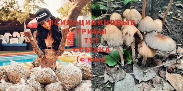 COCAINE Белокуриха
