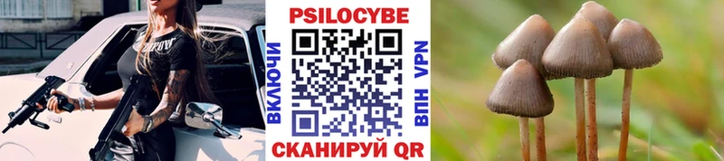 Галлюциногенные грибы MAGIC MUSHROOMS  магазин продажи   Волжск 