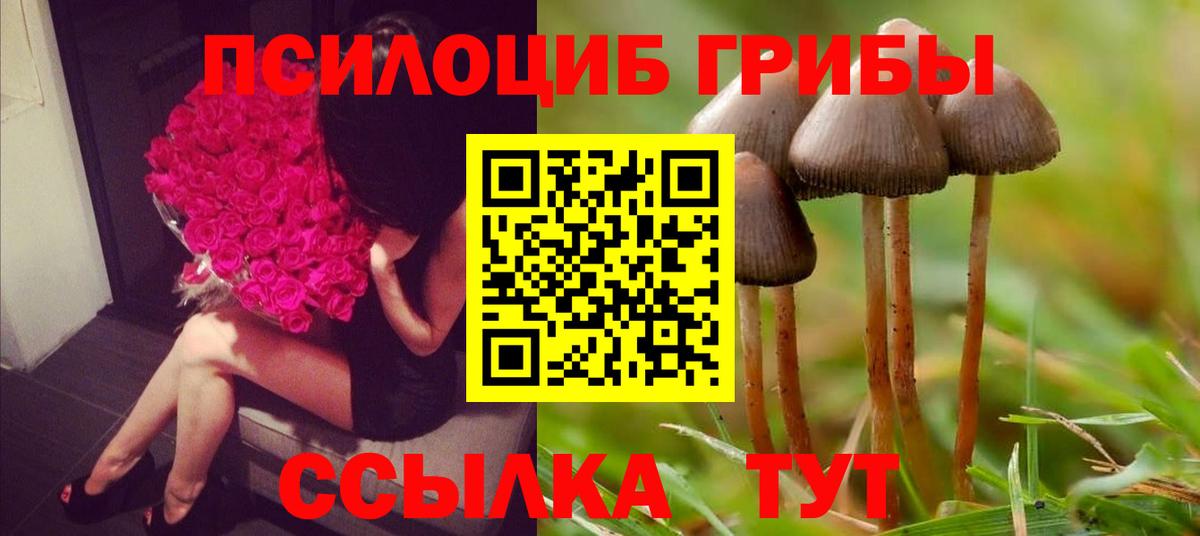 Волжск  Псилоцибиновые грибы Magic Shrooms  Галлюциногенные грибы Magic Shrooms  Вход с VPN 