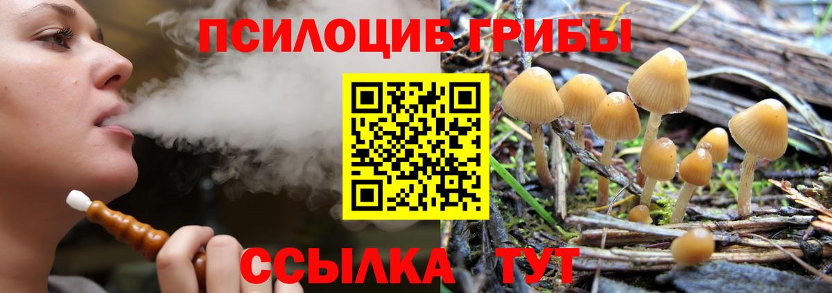 Псилоцибиновые грибы MAGIC MUSHROOMS  Псилоцибиновые грибы Magic Shrooms  Вход с VPN  Волжск 
