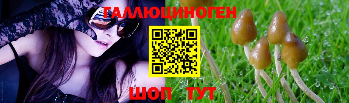 Псилоцибиновые грибы GOLDEN TEACHER Волжск